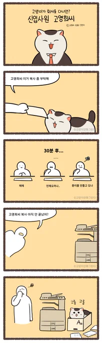 고양이가 회사에 다닌다면? 신입사원 고영희씨 