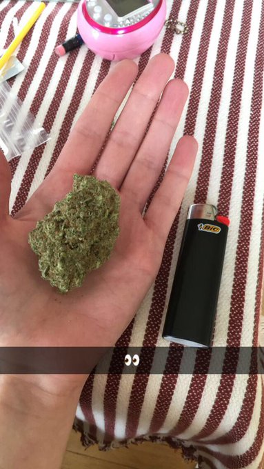 I&rsquo;ve been blessed with a monster nug https://t.co/irewPQRdDJ<a href="/tag/bringspringback"class="tags"><span>#bringspringback</span></a>