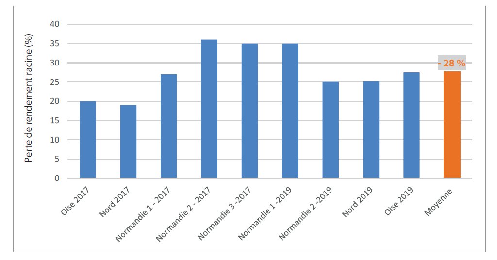 Les pertes de rendement de la jaunisse de la betterave sont conséquentes.De l'ordre de 30% pour les jaunisses modérées (la majorité de ce qu'on a observé en 2019; voir 1ère fig)plutôt 50% pour la jaunisse grave.