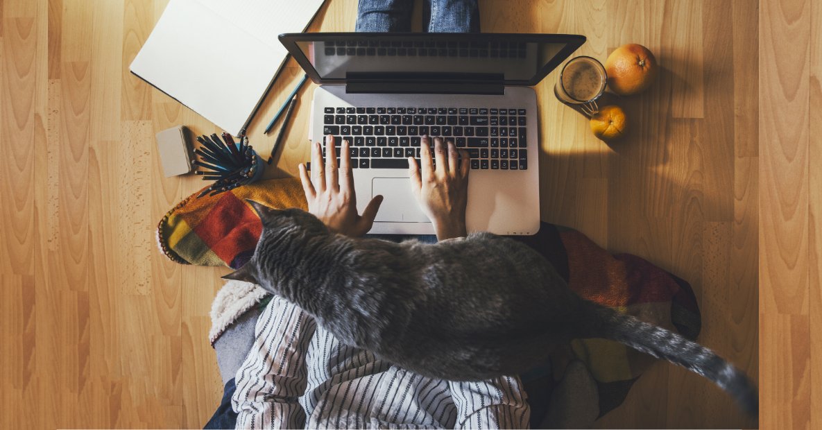 IIBA's tweet image. @IIBABluegrass will host a virtual #AgileAnalysis Study Group. The study group provides 12.5 Professional Development (PD) Hours.
Study group details: my.iiba.org/s/lt-event?id=…

#Agile Analysis certification details: bit.ly/301Oadn

#AgileExtension #BABOK #BABOKGuide