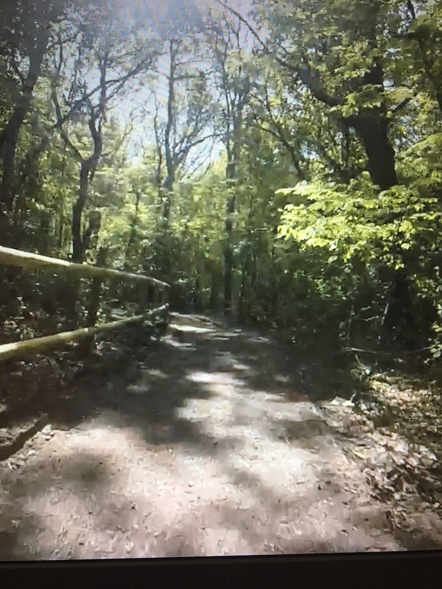 luise_g's tweet image. Great bike ride today #exerciseoutside #offroad #lockdown2020week5