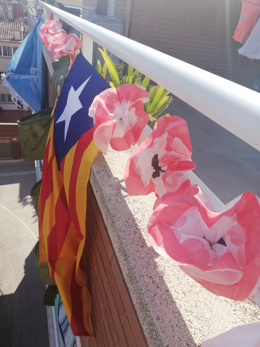 MontseOlive's tweet photo. 🌹🐉📚#SantJordi2020 al balcó amb drac, senyera, roses i el domàs🌹📚🐉
@VallsConfinat
@AssembleaValls
#SantJordiValls https://t.co/FcliULhW86