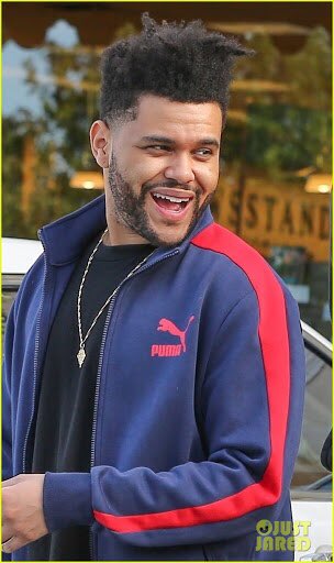 The Weeknd as otters, a thread.