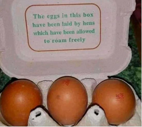 Never thought i'd be jealous of a chicken!🤣