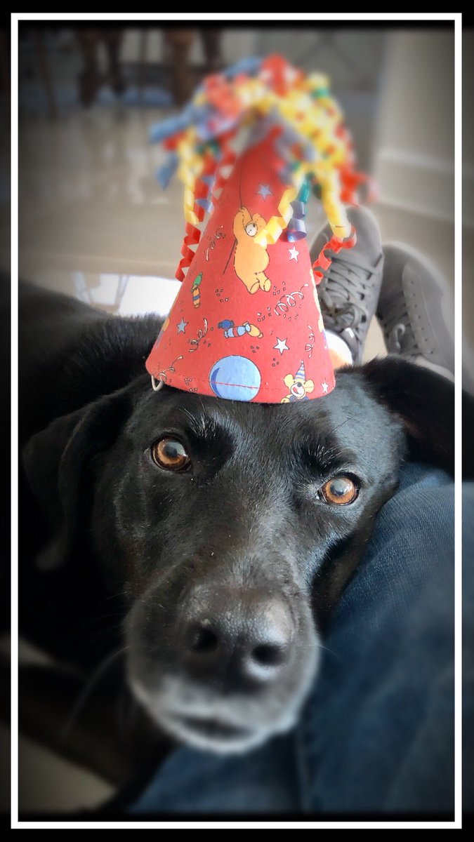 Happy 12th!  My girl is everything♥️