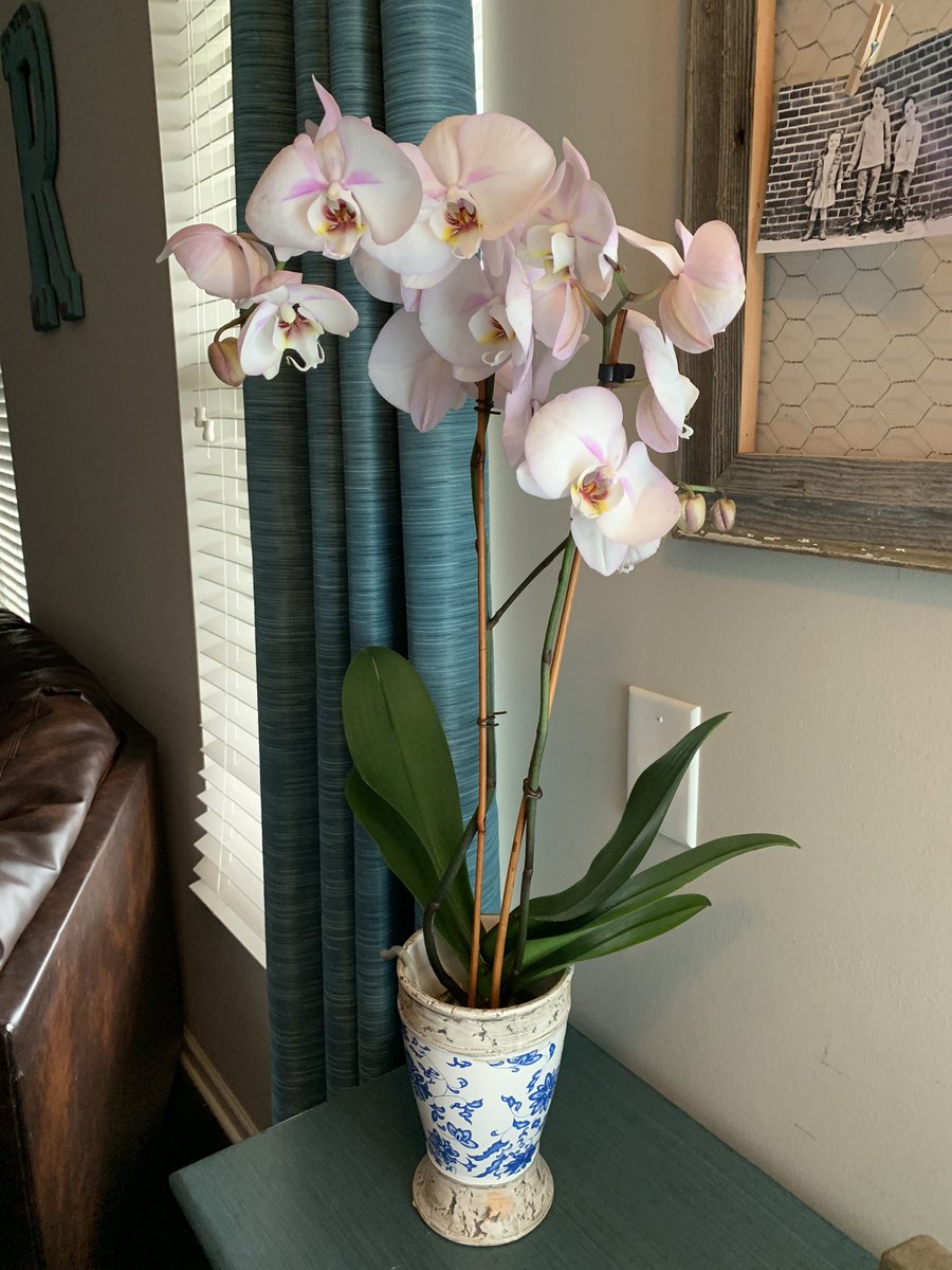 Tonya Richardson tweet media