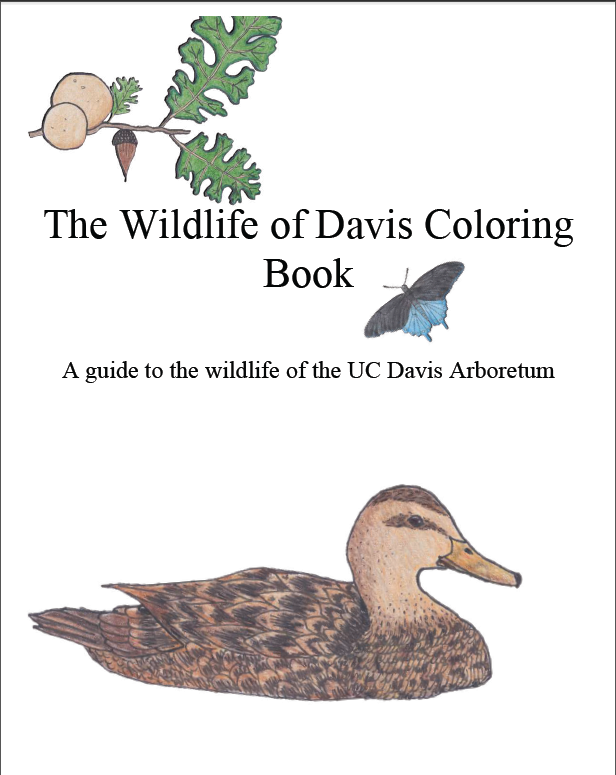 CANaturalist's tweet photo. CalNat's @ucdavis #WildDavis course alumni, Ella Brydon, created a capstone project last year that is coming in handy! The @CncSacramento is using her @UCD_Arboretum coloring book to inspire residents to participate this weekend. https://t.co/6hZtbh7vaB https://t.co/r4vFD8KGIF