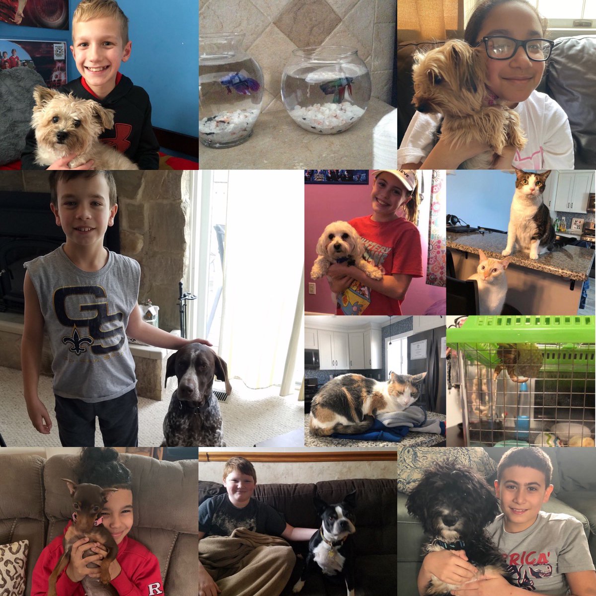 LynnCrest5's tweet photo. Pet Day in room 22! πΆπ±πΎ @Monaco12060 @LynnCrestTigers #22tigers #5VM https://t.co/GxrZOEHkyz