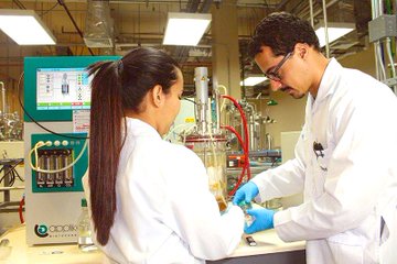 Ver imagen en Twitter