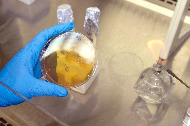 LFLopezCalva's tweet photo. El diagnóstico exitoso de #COVID19 depende de métodos sensibles y de bajo costo. Felicidades Costa Rica @CarlosAlvQ por trabajar en un protocolo alternativo basado en RT-PCR para detección de #coronavirus. @msaludcr @micittcr #CENIBiot @PNUD_CR @PNUDLAC https://t.co/aUFUJe2zPC