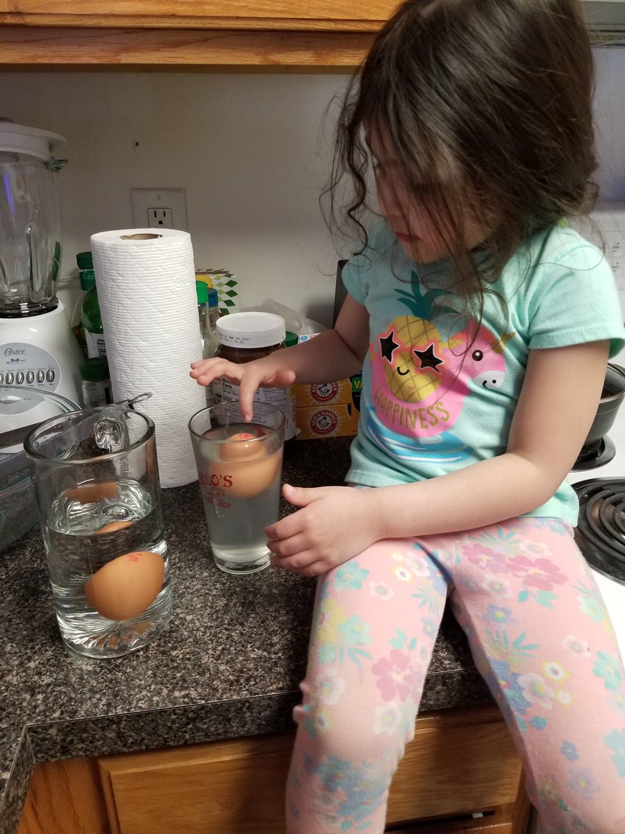 AliensEndeavour's tweet photo. Yesterday, the Aliens read “There is a Bird on Your Head” by Mo Willems and did many different bird themed activities. We did a directed drawing of a bird, built a bird’s nest to practice counting and performed an egg floating experiment! 🐦🐦🐦 #nhtschoolstogether https://t.co/unB2KKOgiI