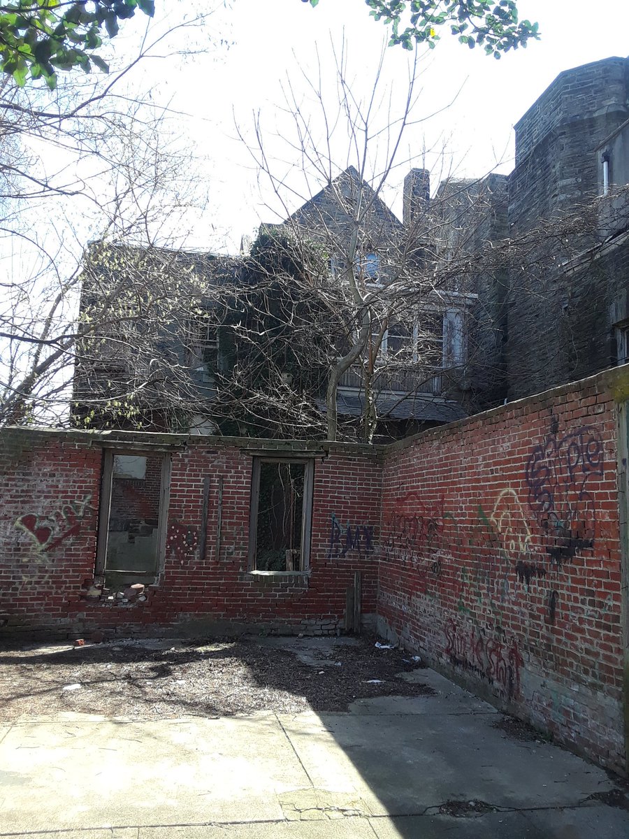 predesin's tweet image. 