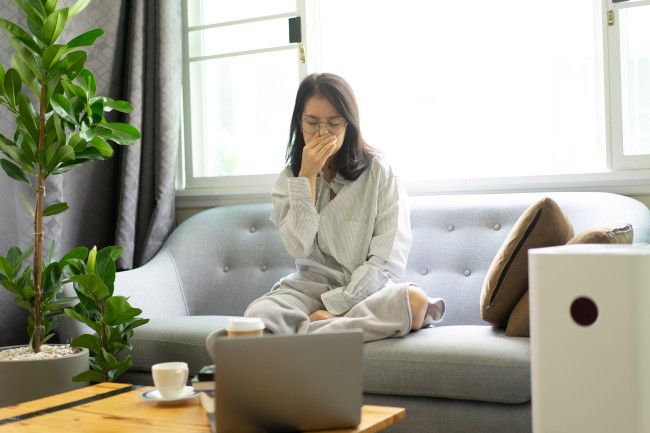 Spending Lots of Time Indoors? Here’s How to Improve Air Quality in Your Home buff.ly/2xy6IrL #asthma #petdander #dustmites #allergy #allergytriggers #athome #stayinghome