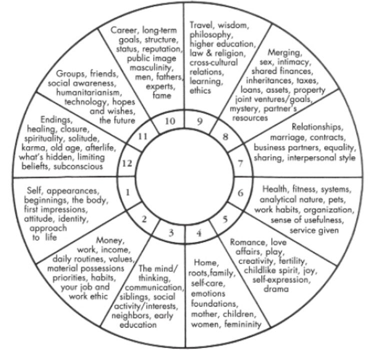 These are pictures describing what each of the 12 houses mean & insight into what the planets themes revolve around. Whichever planet falls into a certain house, that planet will be affected by the matters of the house.