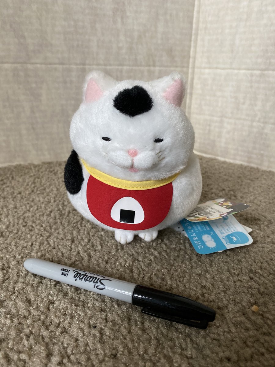 Kitty plush from Japan! DM me to claim and name your price. You pay shipping. Sharpie for size reference.