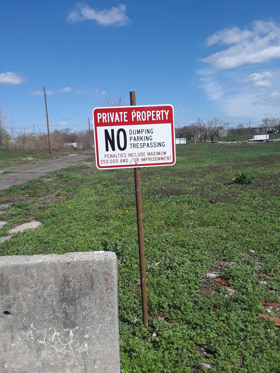 predesin's tweet image. 