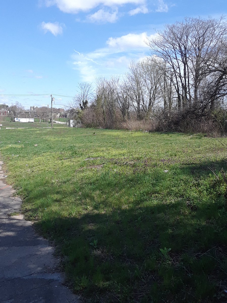 predesin's tweet image. 