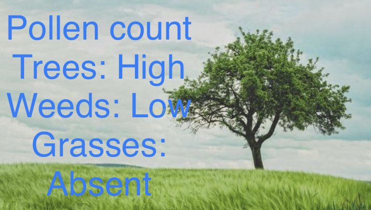 BVAAClinics's tweet photo. Pollen count for today shows high levels of cedar, poplar, aspen, cottonwood, and elm. Grass pollen is absent. Weed pollens including sedge and ragweed are low. Consult with your allergist for allergy symptoms. We are here to help! https://t.co/j1AWvvq3B3