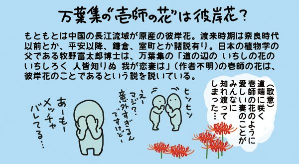 植物学の日なので、前にただただ彼岸花(曼珠沙華)が好きで描いた彼岸花の図解を見てほしい。
https://t.co/AQnr8Wmmmq

#植物学の日 