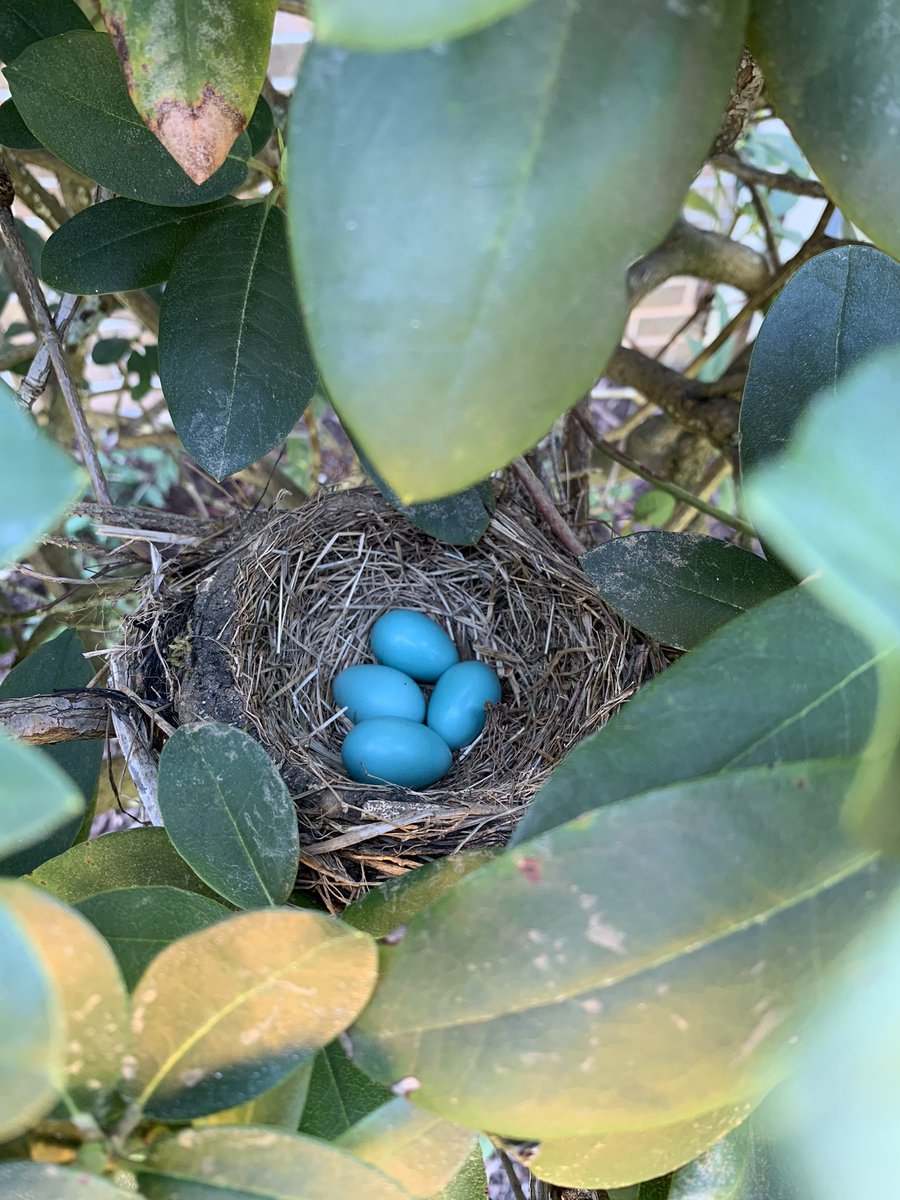 Mike Edmonds tweet media