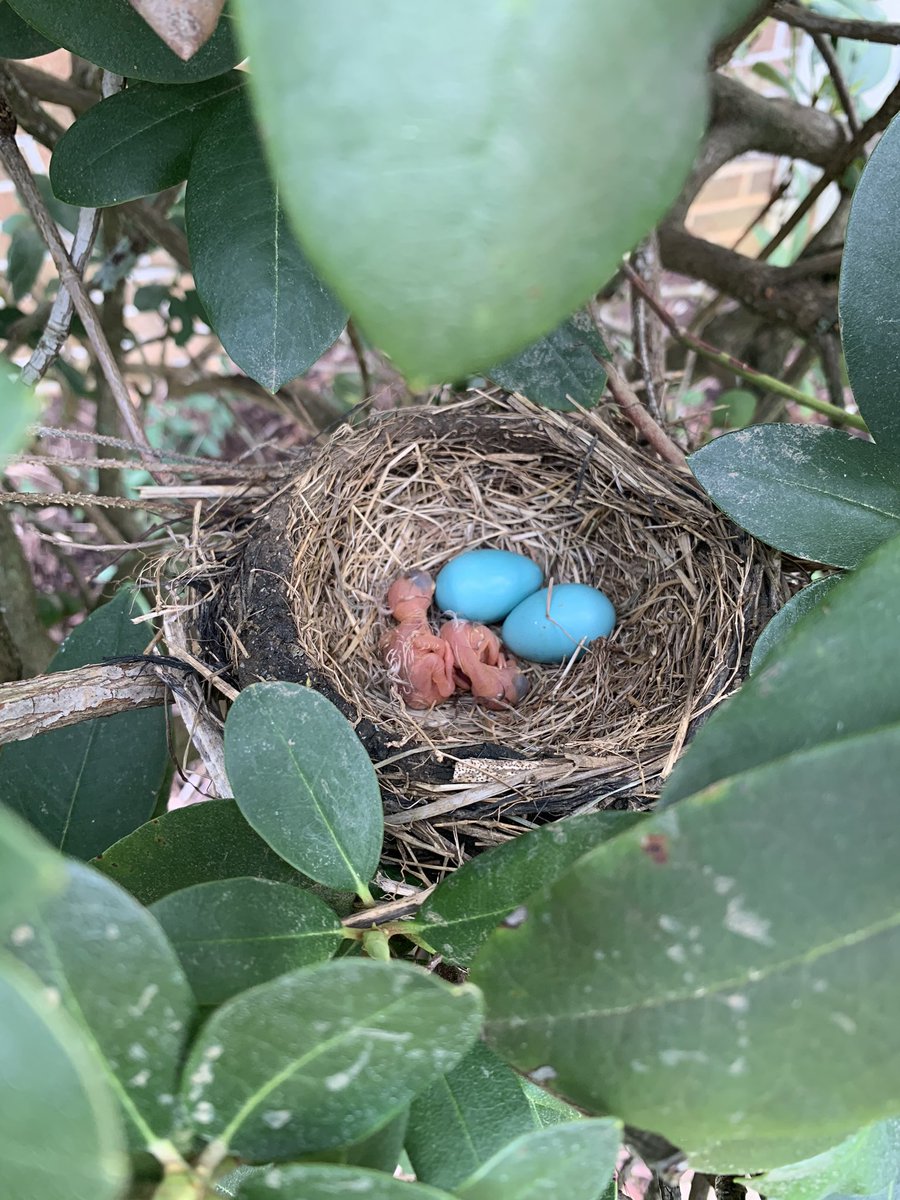 Mike Edmonds tweet media