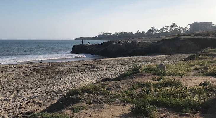 Edhat's tweet photo. UC Santa Barbara scientists detect human waste contamination in the 1/9 debris flow mud used to enrich Goleta Beach.
https://t.co/WA3jeoaLBi
#edhat #SBnews #UCSB #GoletaBeach https://t.co/VPQSvWfr3K