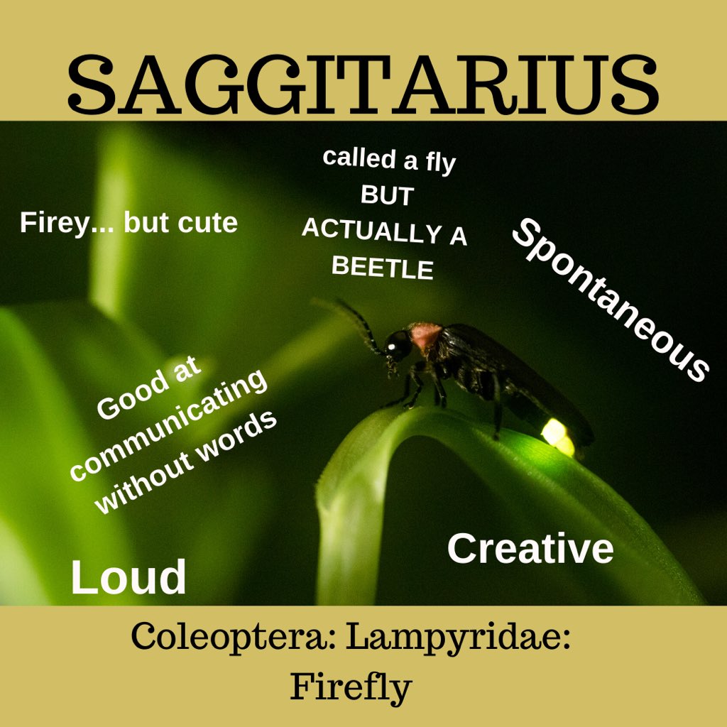 PlantDocEllie's tweet photo. To chase away evening time COVID scaries, Iโve needed a creative bedtime outlet. Naturally, it involved deciding which bugs could describe zodiac signs! I hope you enjoy, and can spot the fun #bugfact in each sign! First up, ๐ฅ signs https://t.co/WM5OmCpHvZ