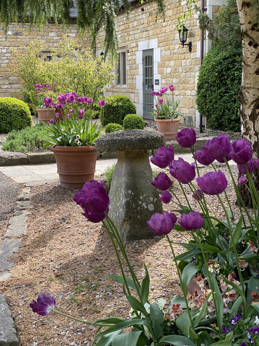 The Slaughters Manor tweet media