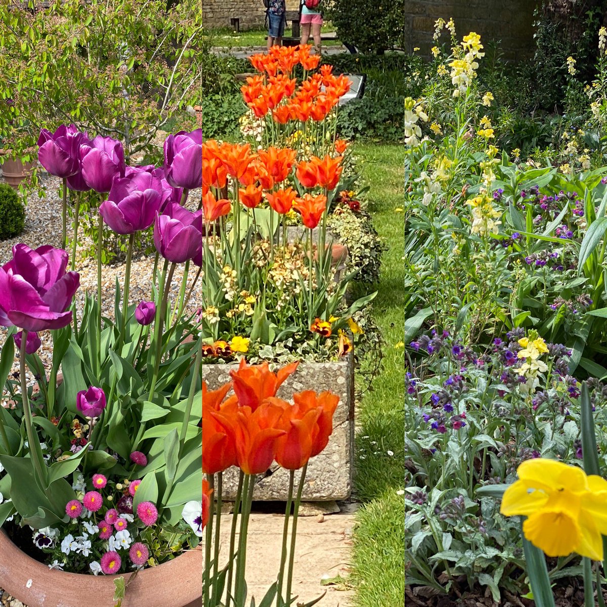 The Slaughters Manor tweet media