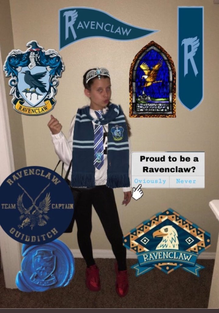 Sr__Moony's tweet photo. #copaquadribol
#RavenWin https://t.co/w4djGRNytc