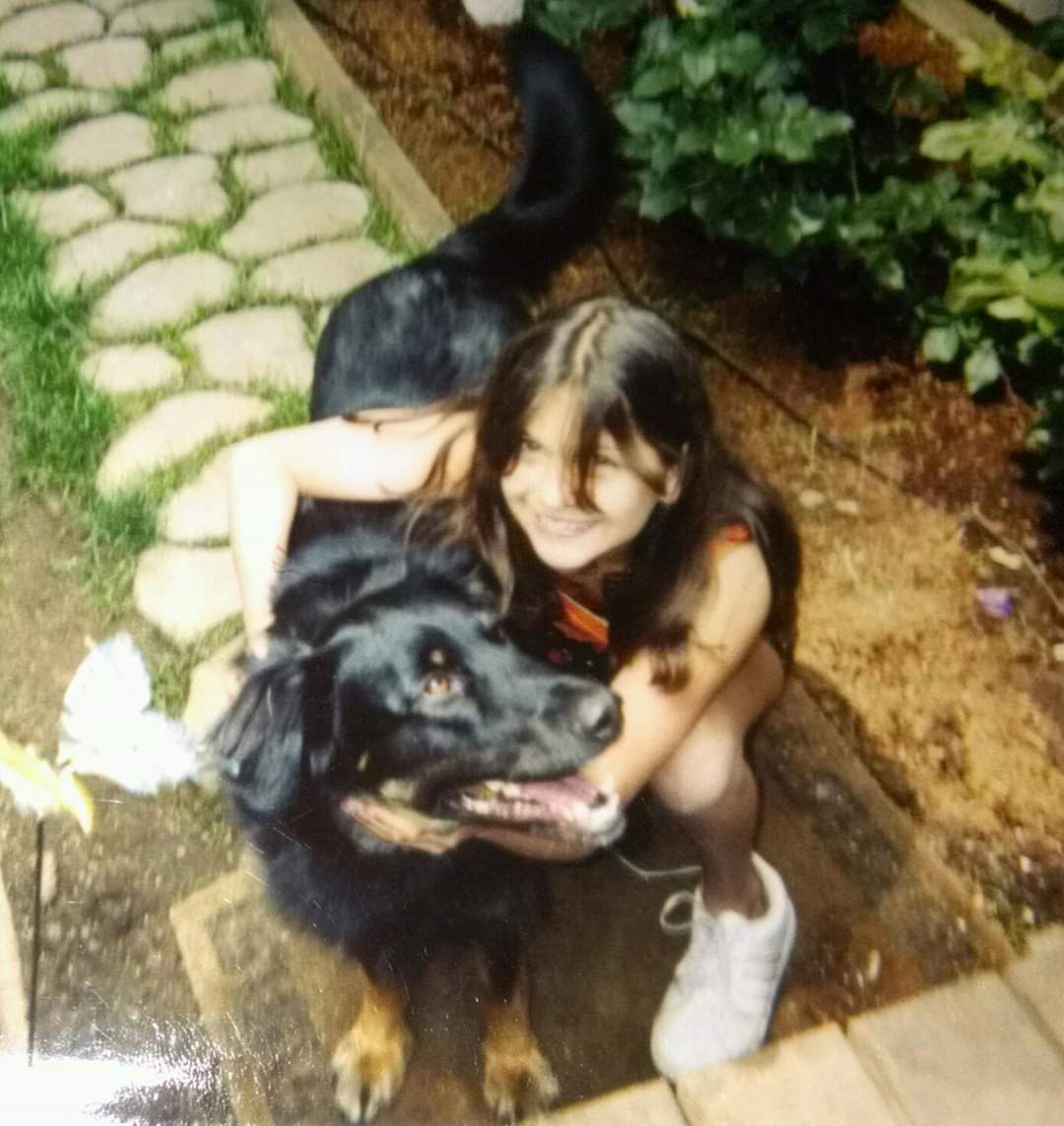 GChristasee's tweet photo. Everytime I see the goodest of boys it makes me think of the goodest of girls. I miss the Brandy dog! Thank you for sharing Bailey with all of us.@Paulisjesus https://t.co/AMN4AQ8aU4