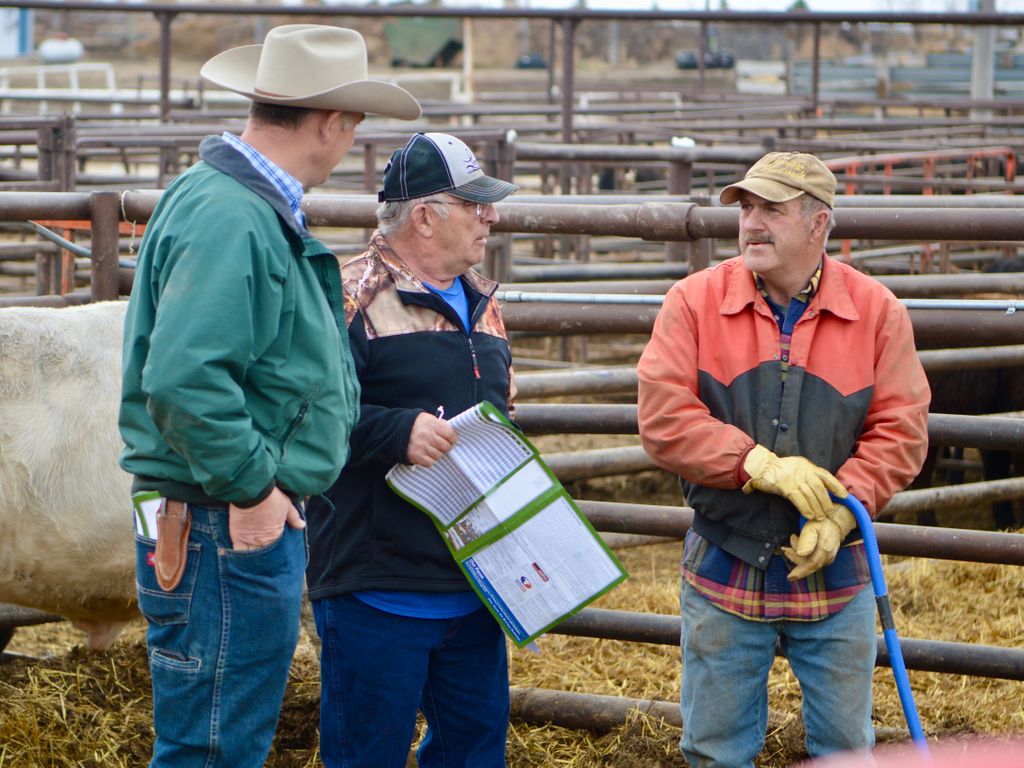 Will Bollum on Twitter "Successful sale today in Mobridge, SD for