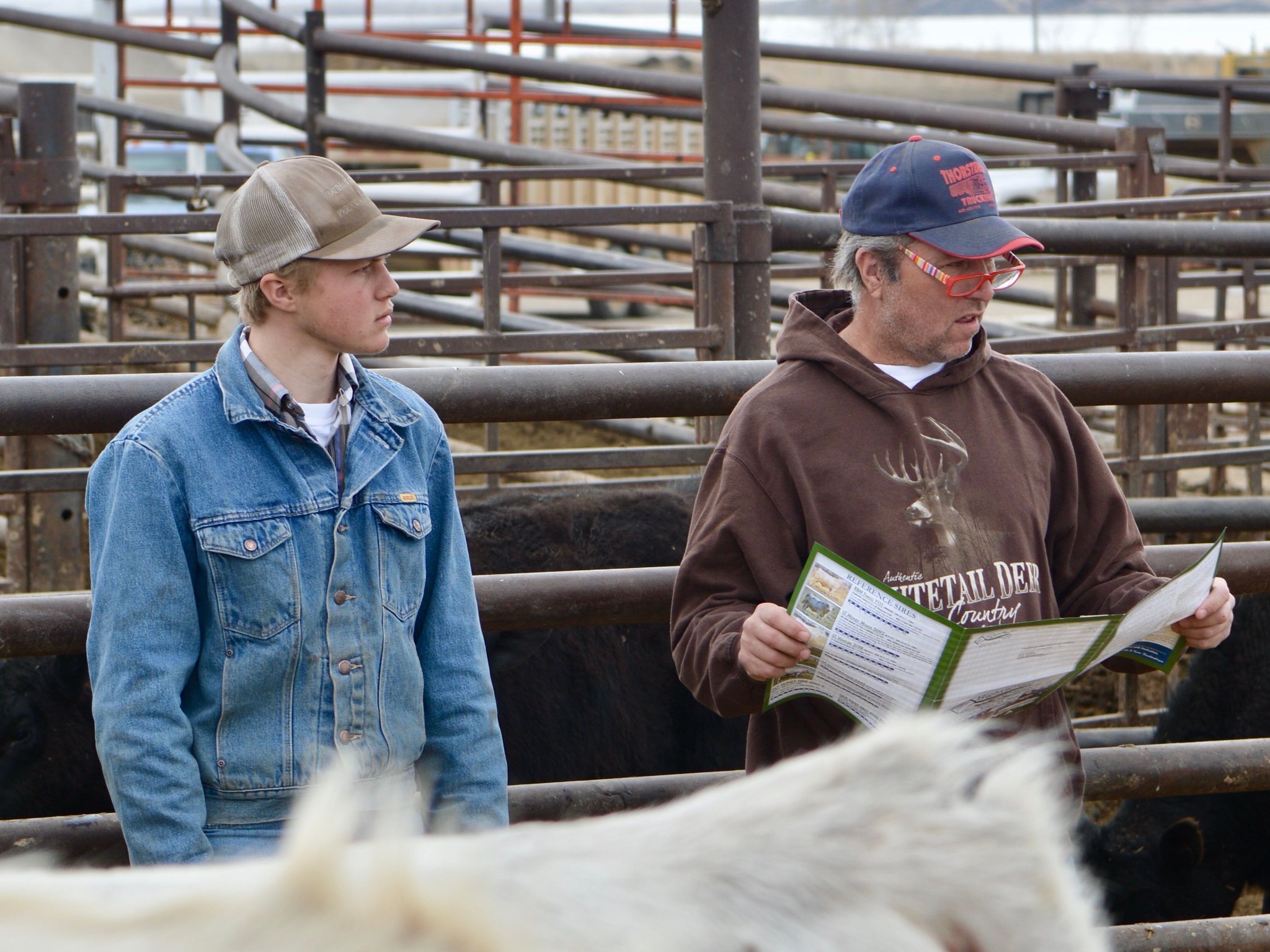 Will Bollum on Twitter "Successful sale today in Mobridge, SD for