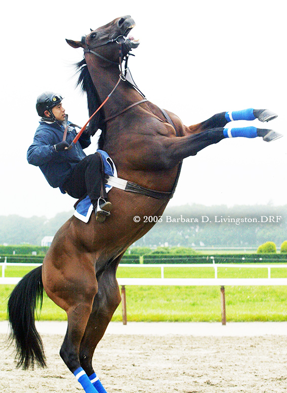 DRFLivingston's tweet photo. While thinking of random shots.... How about DENON?, here at Belmont Park in 2003.

That rider was spectacular, and he was used to this grand guy acting up on occasion. Wish I could remember his name.

A few days after this, DENON won his fourth Grade 1, the Manhattan H. https://t.co/XNGMXokrQa