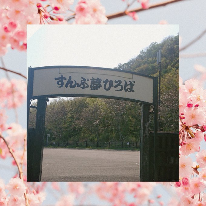 桜盆栽のtwitterイラスト検索結果 桜盆栽のtwitterイラスト検索結果