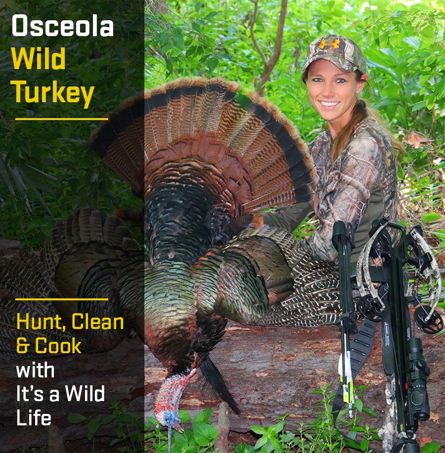Join "It's a Wild Life" as they take their TenPoint crossbow into the Florida swamp for a closeup Osceola Turkey hunt. 

Watch Now -&gt; bit.ly/2RTJa7G

#tenpointcrossbows #crossbowturkeyhunting #crossbow