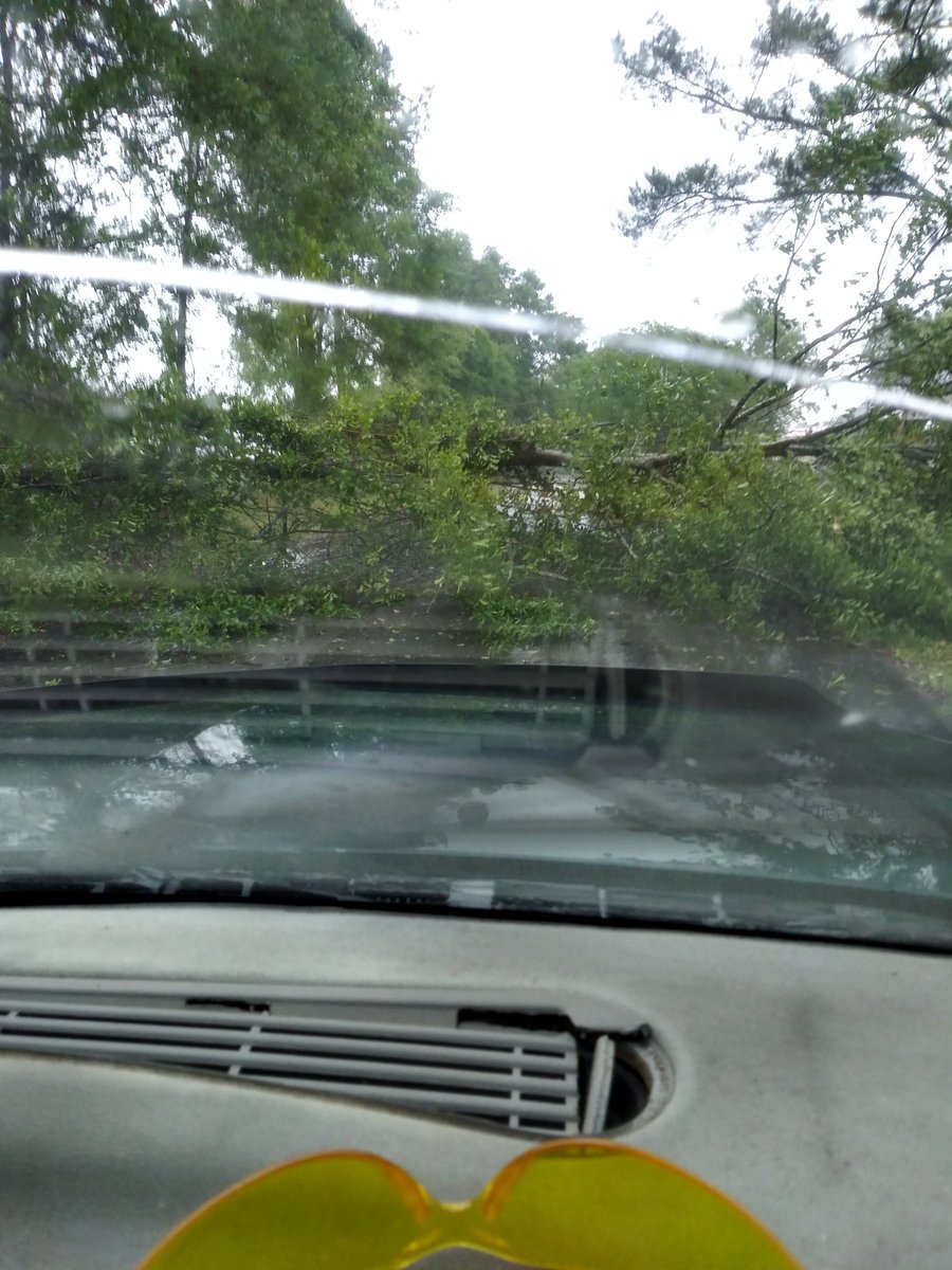 AndreaCBoutwell's tweet photo. @seanflanery on our way ho.e from the grocery store today, Alabama has been a windy mess! https://t.co/v0mOrPVWkV