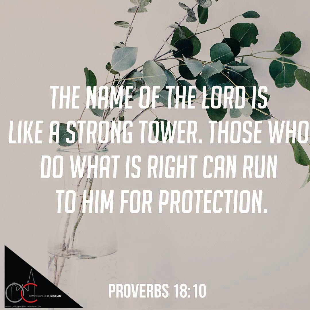 seanbailey_'s tweet photo. He is our strong tower!! 
#dailyinspiration https://t.co/enx1l84s1y
