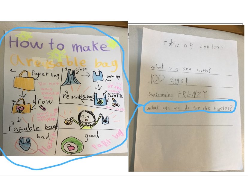 I was so excited to see transdisciplinary learning happing even in our online setting! A grade 1 student posted this as part of a nonfiction writing task and it connects perfectly with our Unit of Inquiry about human impact and responsibility towards the environment!
