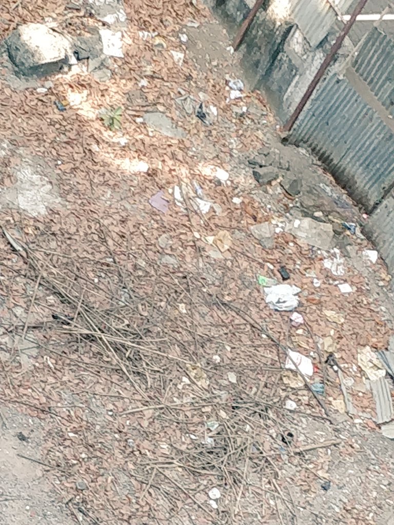 abyssdigi's tweet photo. @mybmc @OfficeofUT @AUThackeray Respected Sir,attached pictures of plot adjacent to our society Sylvan apts 441 /A Pitamber Lane Mahim West is a health hazard as it isn't cleaned for months.The plot has closed it all sides.Requesting urgent help https://t.co/j0MW9cRTO1
