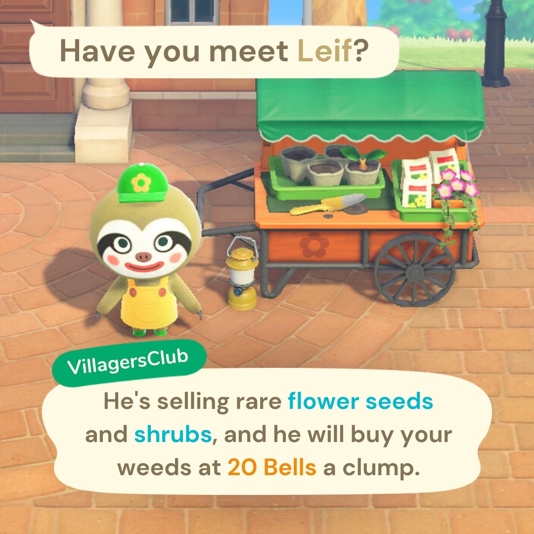 VillagersClub tweet media