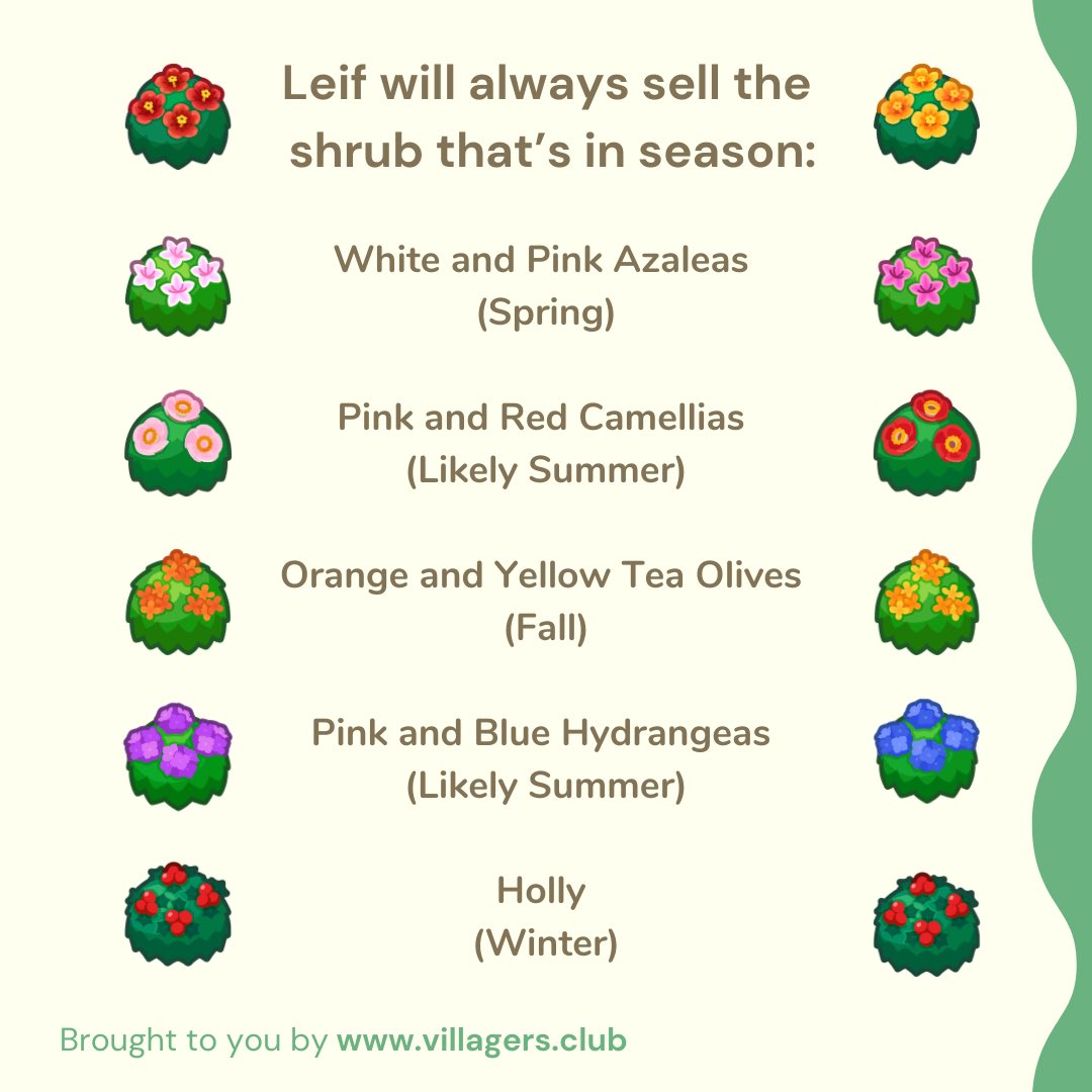 VillagersClub tweet media