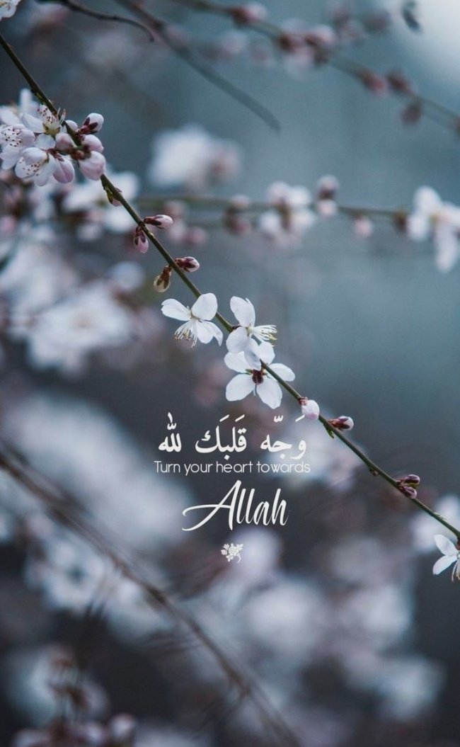 Inspirational Islamic Quotes allah quotes HD phone wallpaper  Pxfuel