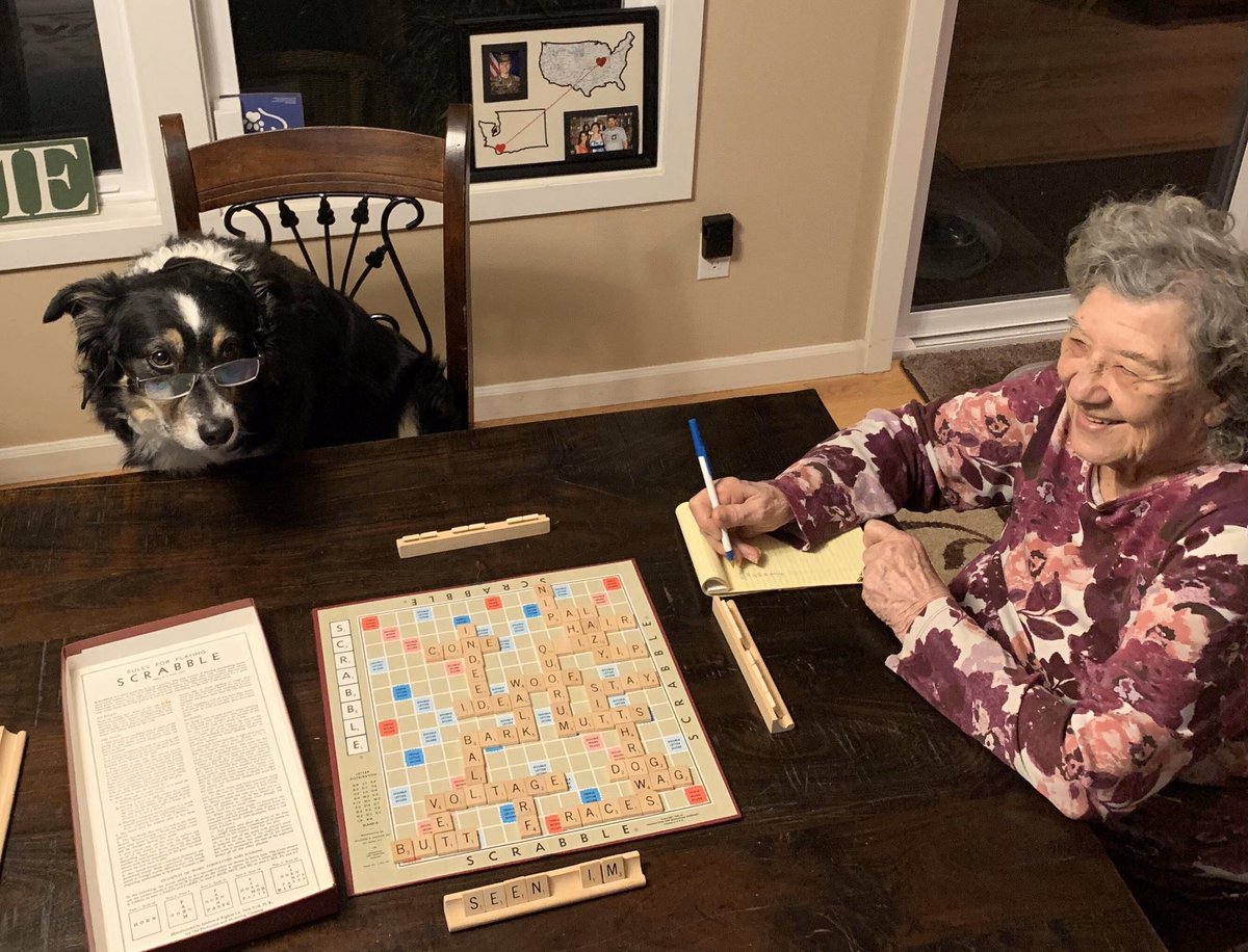EastCountyRun's tweet photo. March 54th. 98-year-old Helen knows a few words. Scrabble night v. the Border Collies (world’s most intelligent breed). No contest; Tor & Mia are no match for Helen; they slink off to lick their emotional wounds (& other stuff, too). Helen stays mentally fit. #belikeHelen https://t.co/p3pQnOn9ss