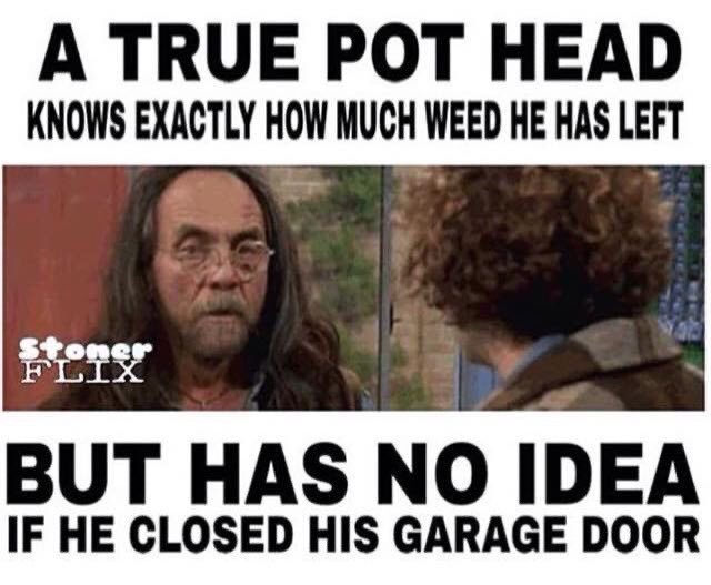 Bklynbby's tweet photo. So true 💨💨💨 https://t.co/1jbVJgiQhg