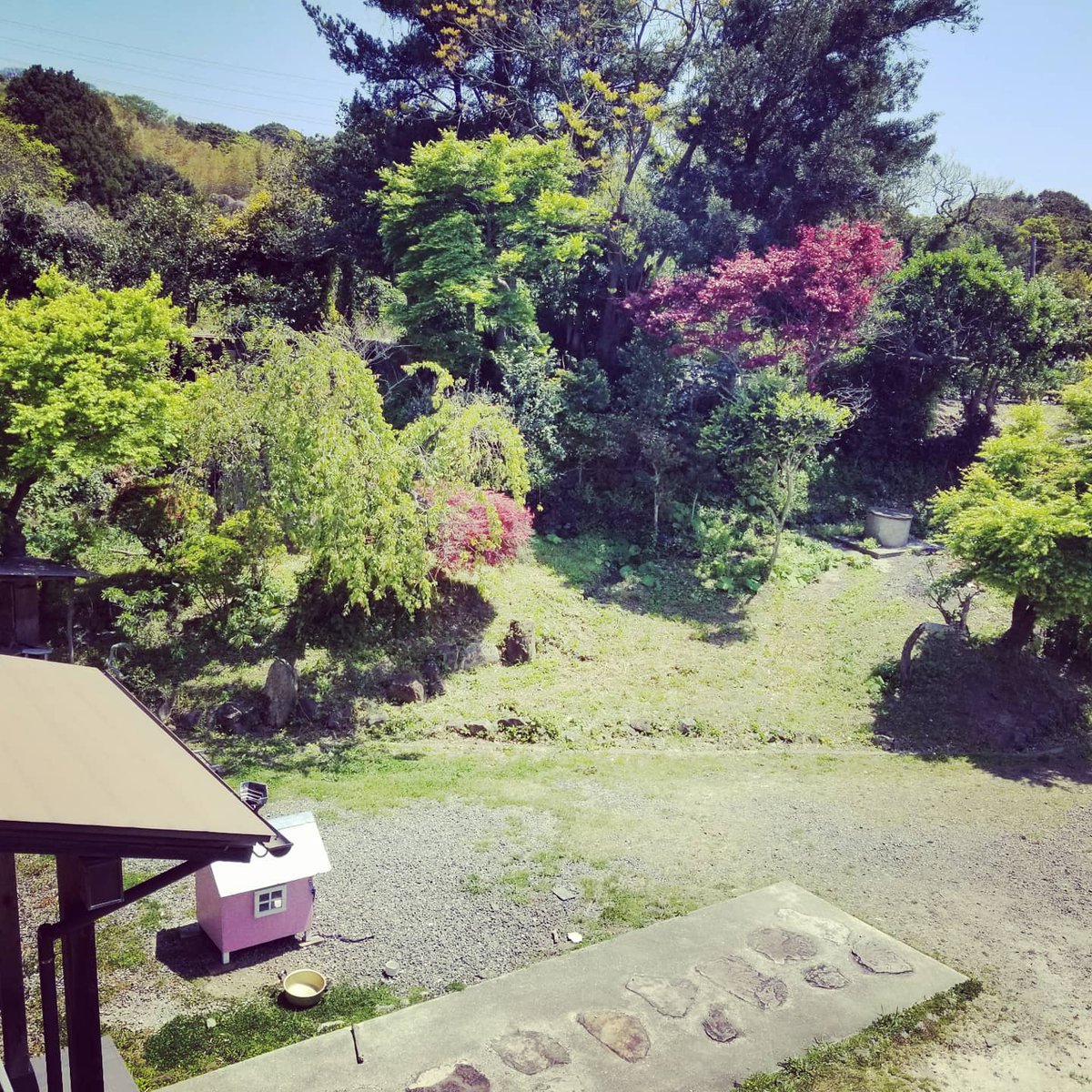 今日はパンを焼きました。
自作のパンに自作のはちみつバターを自作のバターナイフで。皿は妻の作品。
#art #illustration #drawing #draw #fashion #picture #artist #sketch #instagood #cute #instaart #beautiful #fortnite #gallery #masterpiece #photooftheday #love #dessin #fortniteart