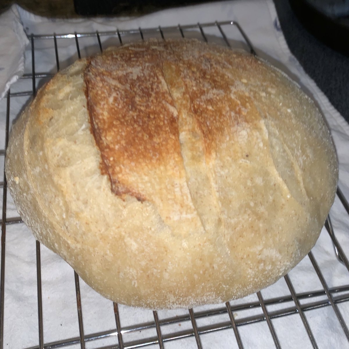 I got waaay behind on this thread. I’m going to jump ahead to this evening. I think this is the first loaf of bread I’ve ever baked. Its par-baked, but I snuck a crumb and it tastes great.