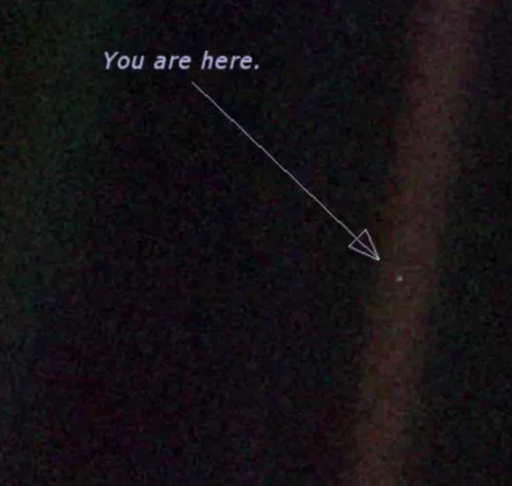 MakerBay tweet media