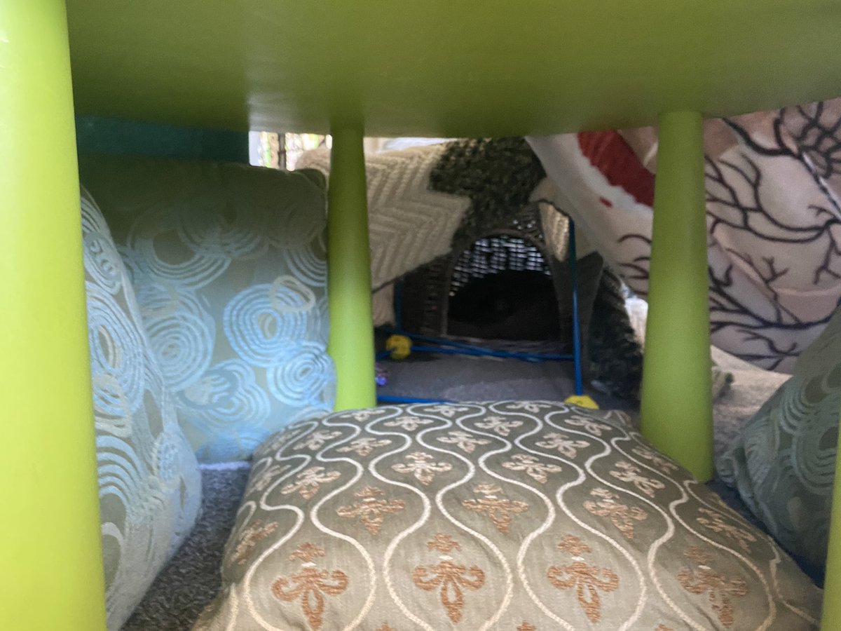 Martellacci1673's tweet photo. Tallevi fort fortress - with multiple wings to hide in they created it for fun and for their cat to hide out in 😄 check out the tunnel entry! @StGregoryCA https://t.co/Lu6mOE9Z0L