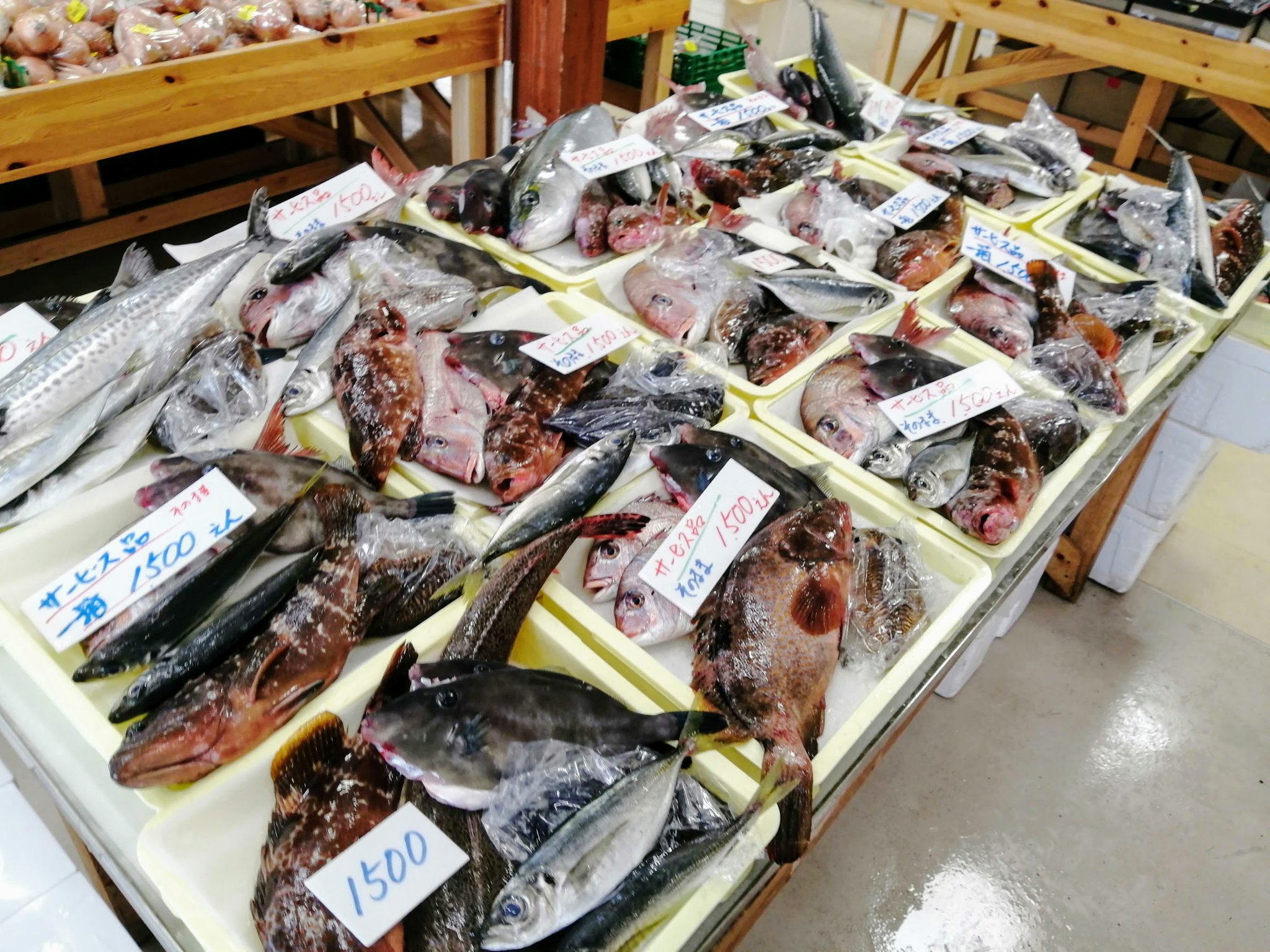 てらだいおり やばいお魚グルメ探究家 Pa Twitter 久しぶりに 道の駅ベイファームに行きました 詰め放題の代わりに鮮魚セット販売を行っていますが 値段が安すぎる 普段なら3000円位する大きめのキジハタ アコウ が入って てらだいおり やばいお魚グルメ探究家 Pa Twitter 久しぶりに 道の駅ベイファームに行きました 詰め放題の代わりに鮮魚セット販売を行っていますが 値段が安すぎる 普段なら3000円位する大きめのキジハタ アコウ が入って